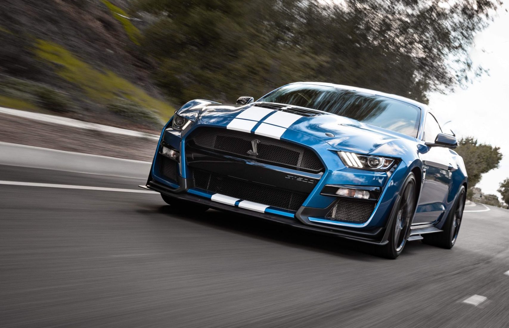 Ford Mustang Shelby Teams Up With… Hertz Rentals?